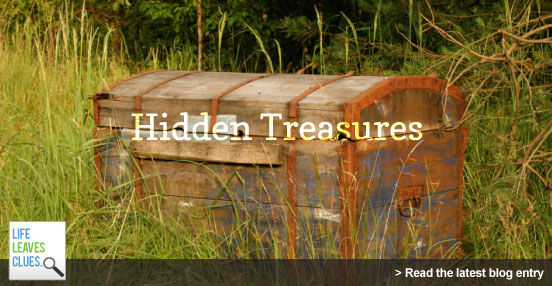 Hidden Treasure [1927]